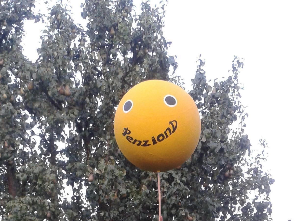 Penzion D Vikýřovice Εξωτερικό φωτογραφία
